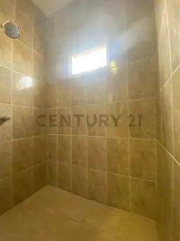Vista 15