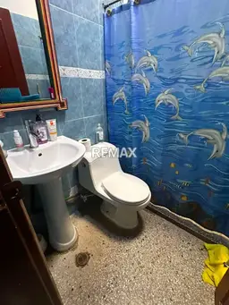 Vista 5