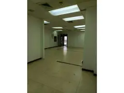 Vista 4