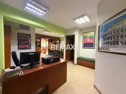 Vista 5