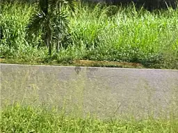 Vista 7