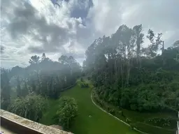 View 18