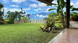 View 19