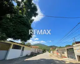 Vista 19