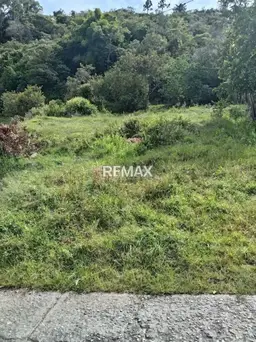 View 10