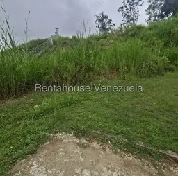 Vista 1
