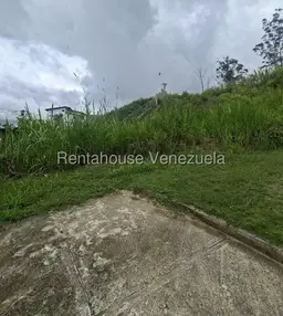 Vista 3