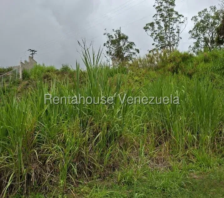 Terreno (Residencial) en Venta en Pan de Azucar, Miranda - 4