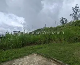 Vista 5