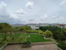 Vista 11