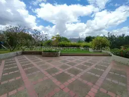 Vista 61