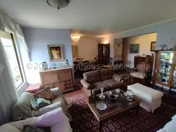 Vista 9