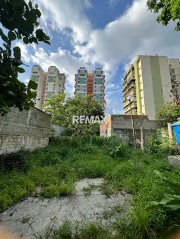 Vista 1