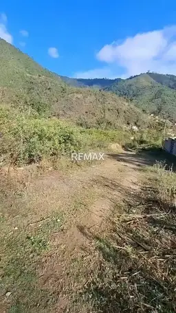 View 1