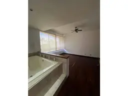 Vista 14