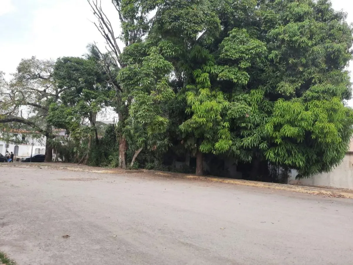 Venta de Casa a Remodelar El Viñedo - 12