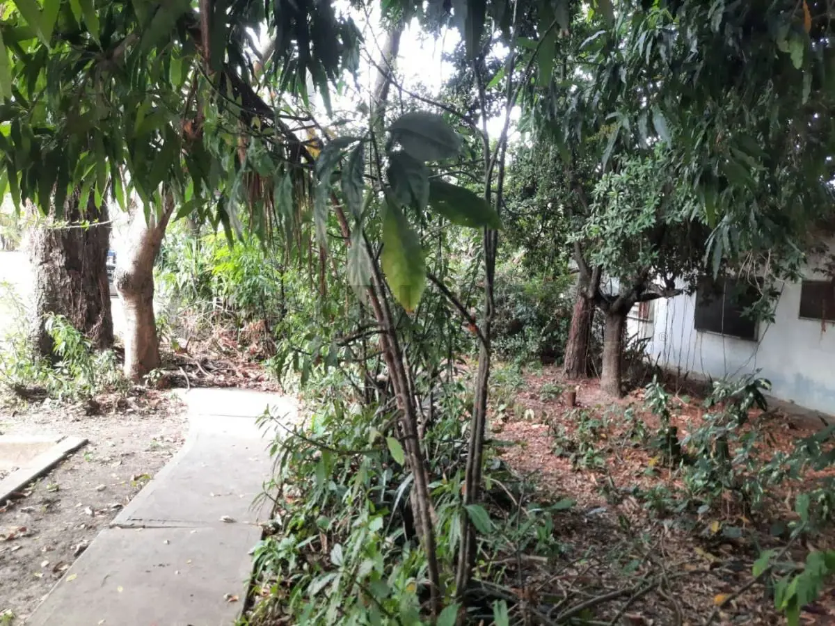 Venta de Casa a Remodelar El Viñedo - 6