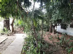 Vista 6