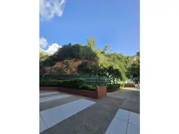 Vista 37