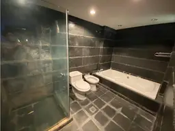 Vista 15
