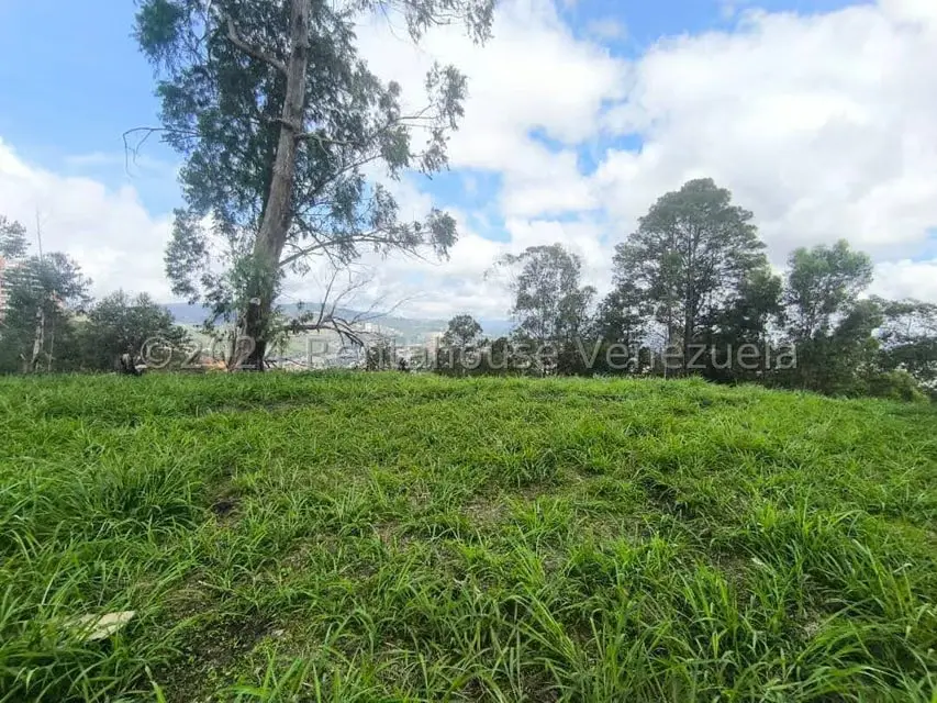 Terreno (Residencial) en Venta en Los Naranjos del Cafetal, Distrito Metropolitano - 4