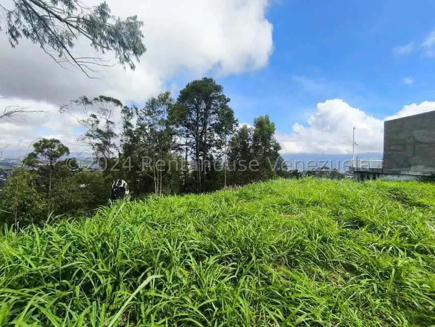 Terreno (Residencial) en Venta en Los Naranjos del Cafetal, Distrito Metropolitano - 7