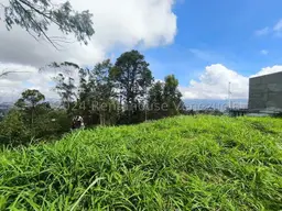 View 7