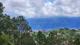 View 8