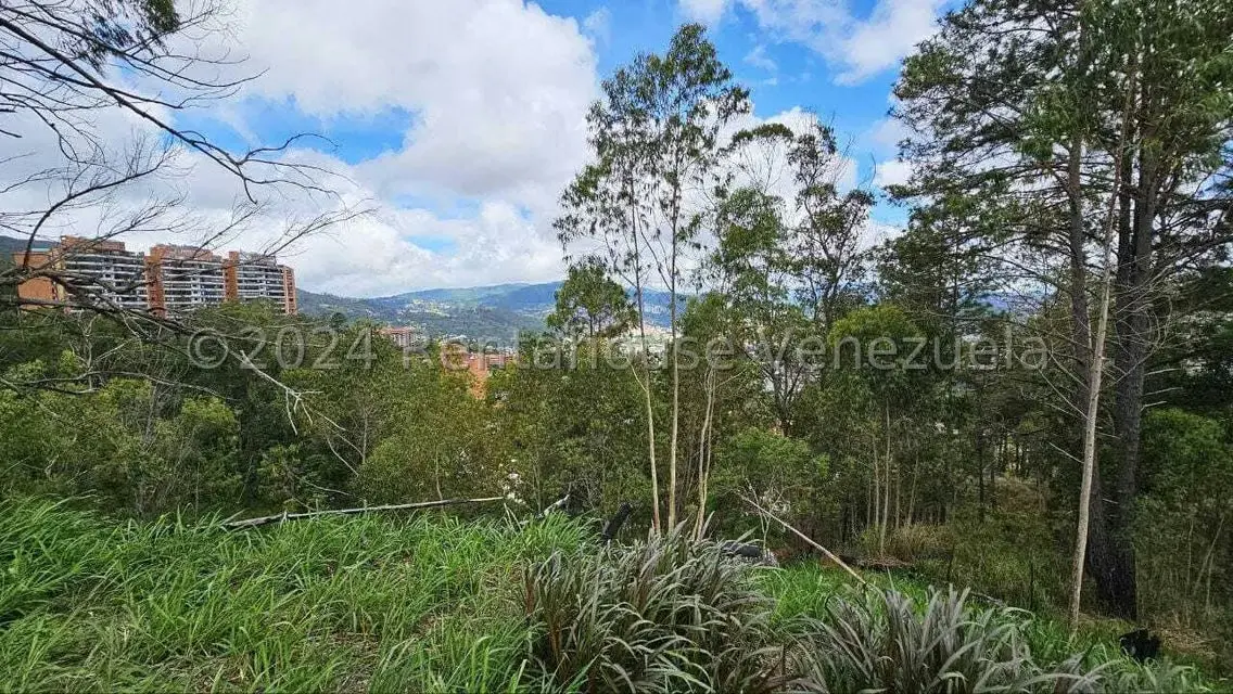 Terreno (Residencial) en Venta en Los Naranjos del Cafetal, Distrito Metropolitano - 10