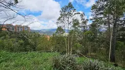 View 10