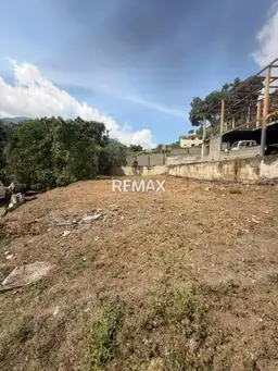 Vista 1