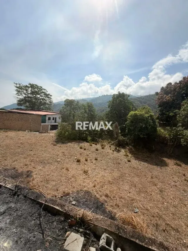 TERRENO EN VENTA, UBICADO EN EL SECTOR EL HATICO, VALERA - 3