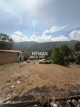 Vista 4
