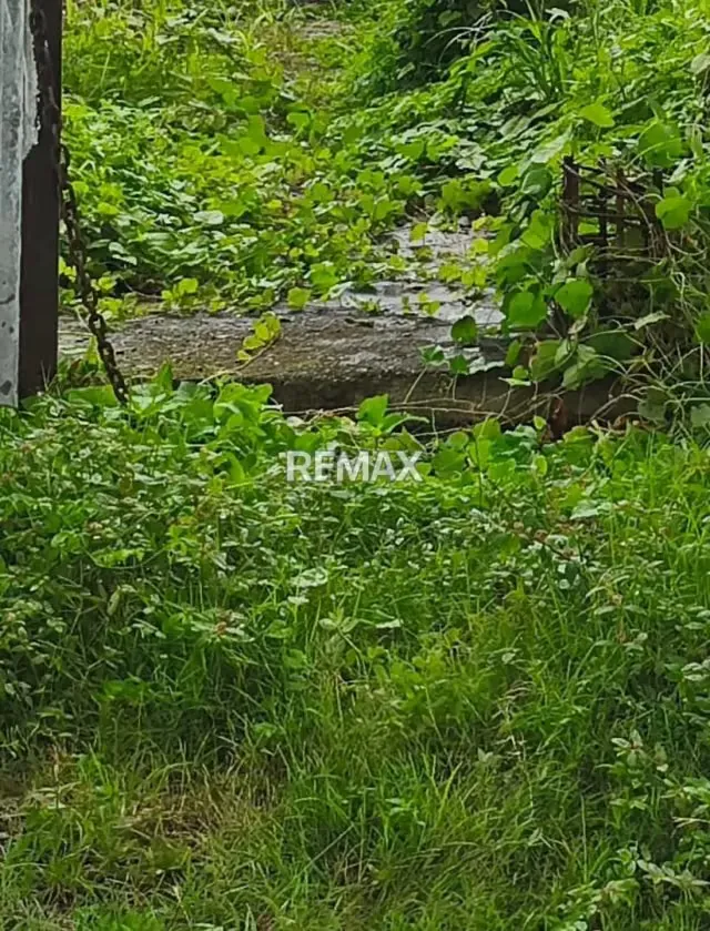 En Venta Terreno con bienhechurias ubicado en Guanare, Sector El Cementerio Carrera 11 entre Calles 17 y 18, Guanare, Portuguesa, Venezuela - 5