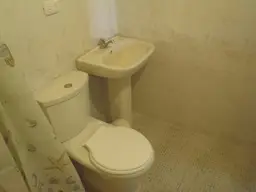 Vista 38