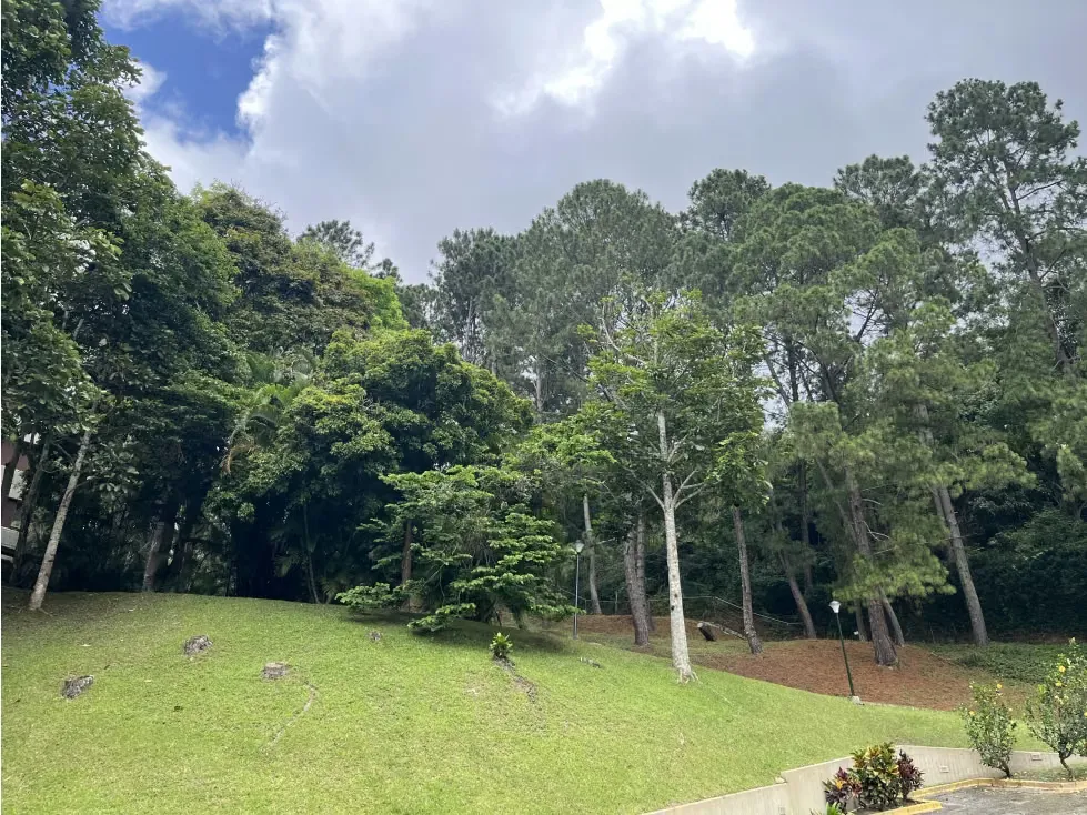 Vendo apartamernto 251m2 La Lagunita Country Club 8542 - 3
