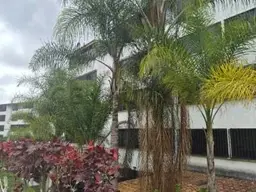 View 1