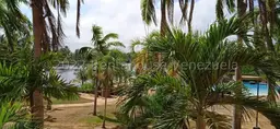 Vista 14
