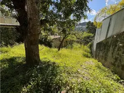 Vista 21