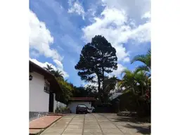 Vista 19