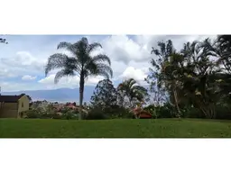Vista 7