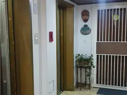 Vista 19