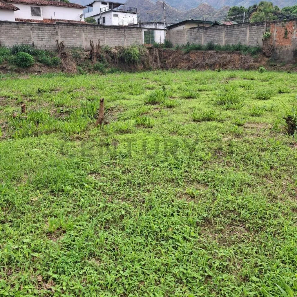 Venta terreno sector El Piñal. El Limón. Maracay - 12