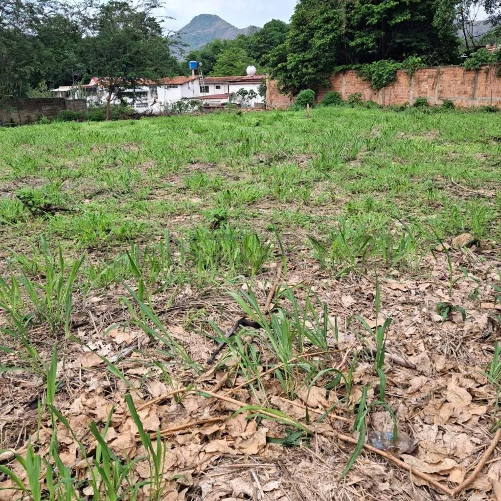 Venta terreno sector El Piñal. El Limón. Maracay - 13