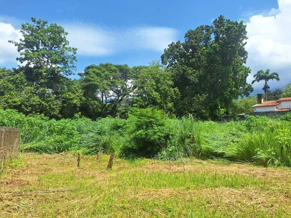 Venta terreno sector El Piñal. El Limón. Maracay - 2