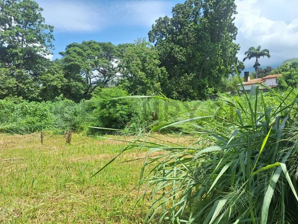 Venta terreno sector El Piñal. El Limón. Maracay - 3
