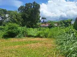 View 6