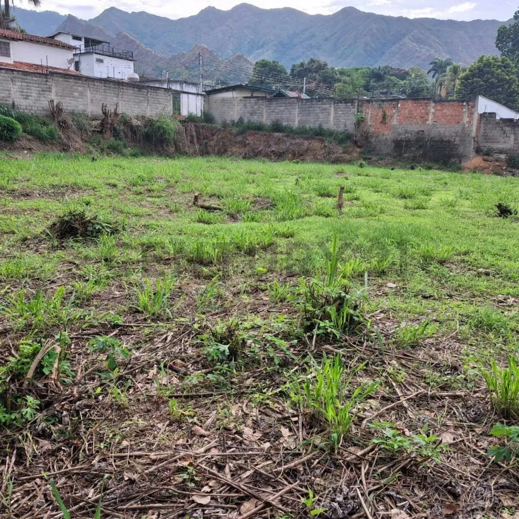 Venta terreno sector El Piñal. El Limón. Maracay - 8