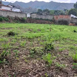 View 8