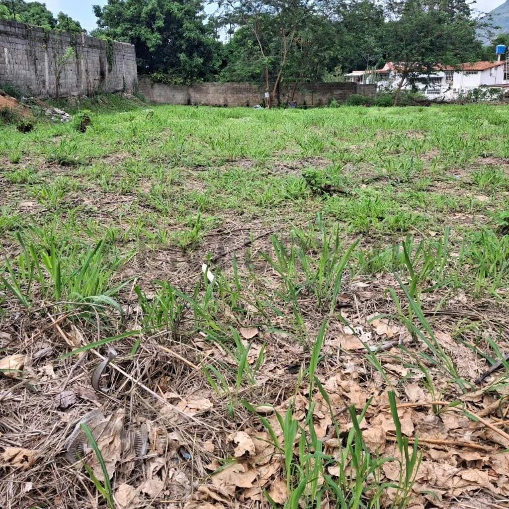 Venta terreno sector El Piñal. El Limón. Maracay - 10